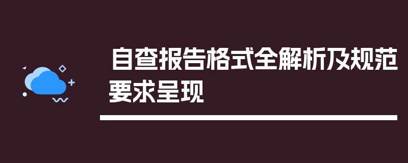 自查报告格式全解析及规范要求呈现