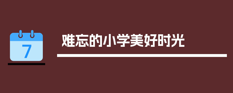 难忘的小学美好时光