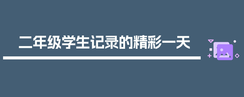 二年级学生记录的精彩一天