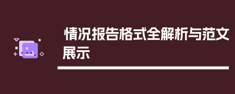 情况报告格式全解析与范文展示