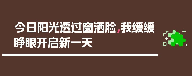今日阳光透过窗洒脸，我缓缓睁眼开启新一天
