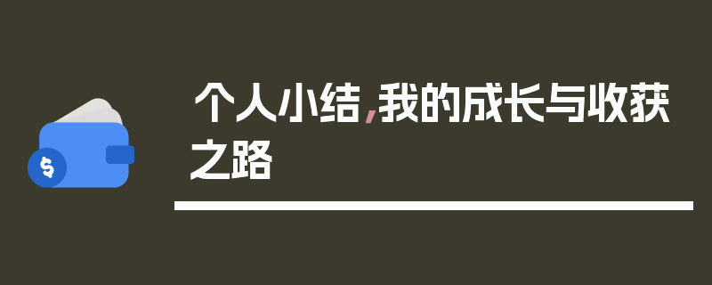 个人小结，我的成长与收获之路