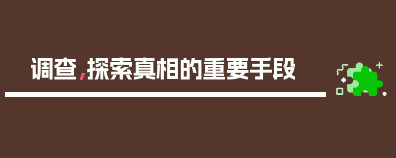 调查，探索真相的重要手段