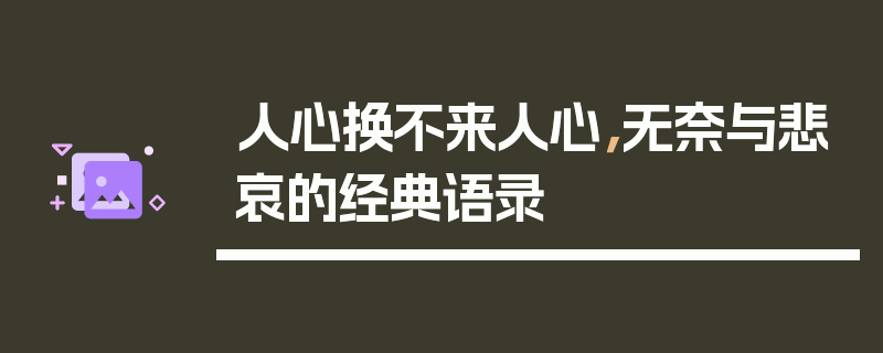 人心换不来人心，无奈与悲哀的经典语录