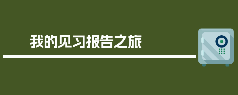 我的见习报告之旅