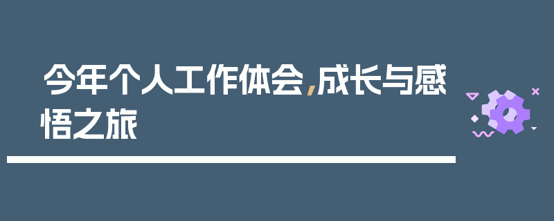 今年个人工作体会，成长与感悟之旅