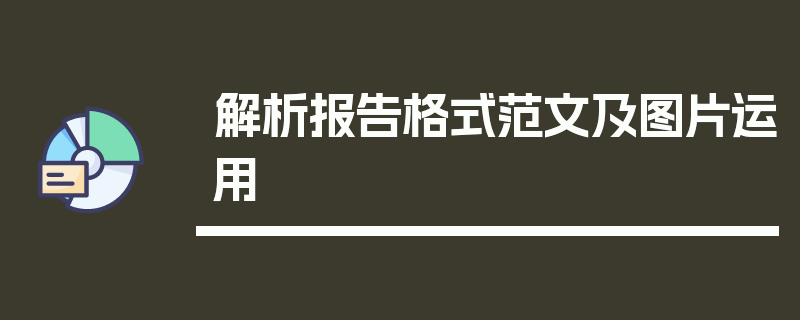 解析报告格式范文及图片运用