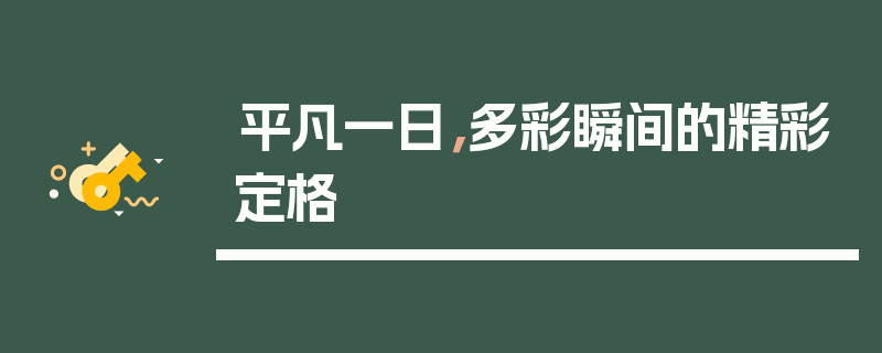 平凡一日，多彩瞬间的精彩定格