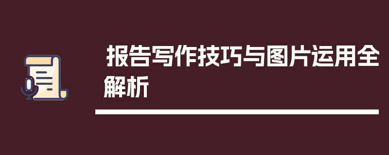 报告写作技巧与图片运用全解析