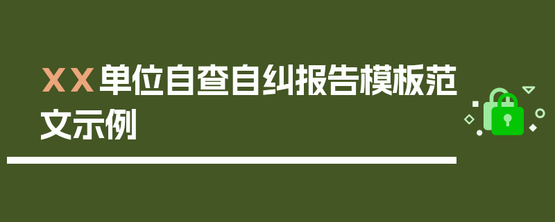 XX单位自查自纠报告模板范文示例