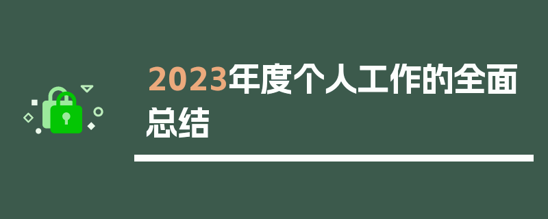 2023年度个人工作的全面总结