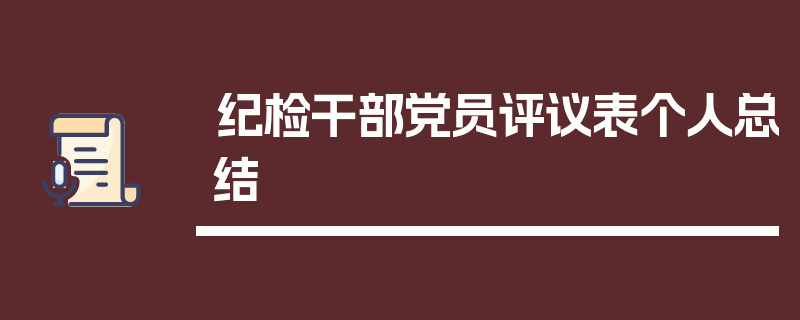 纪检干部党员评议表个人总结