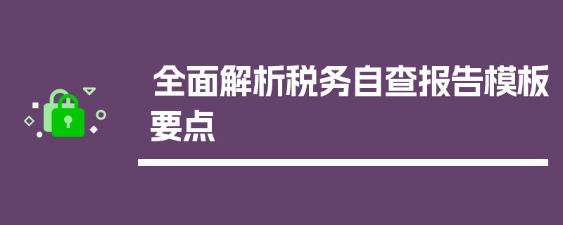 全面解析税务自查报告模板要点