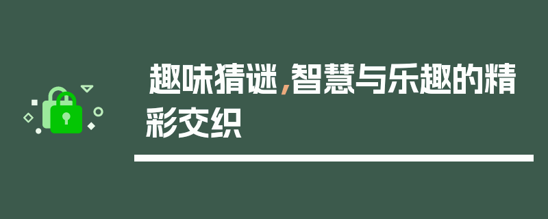 趣味猜谜，智慧与乐趣的精彩交织
