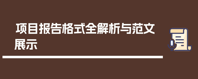 项目报告格式全解析与范文展示