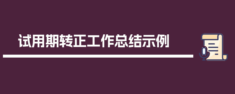 试用期转正工作总结示例
